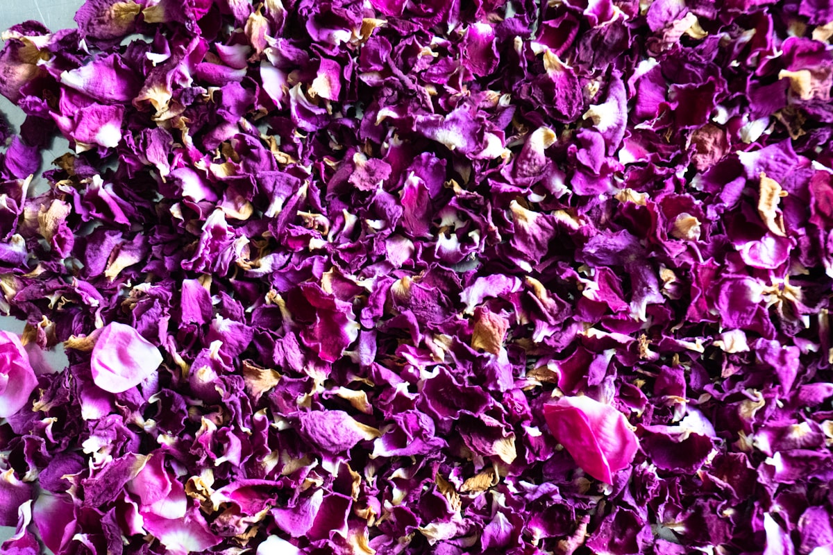 Sustainable sourcing of natural ingredients